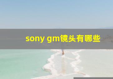 sony gm镜头有哪些